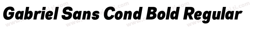 Gabriel Sans Cond Bold Regular字体转换